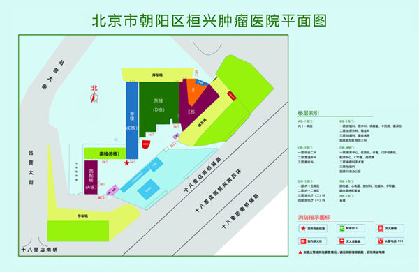 国内女人被操BB视频北京市朝阳区桓兴肿瘤医院平面图